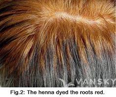 230824162845_Hair-Dying with henna-s.jpg